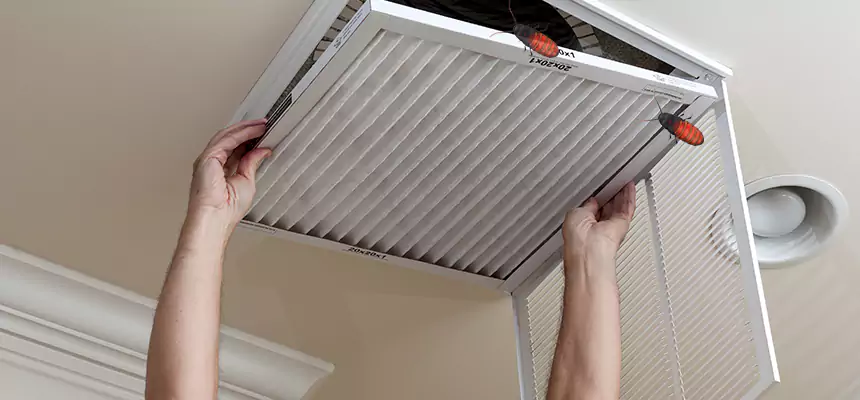 Preventive Cockroach-Proofing for Ducts in Elizabeth City