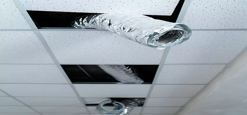 Affordable HVAC Sanitizing After Pest Removal in Elizabeth City