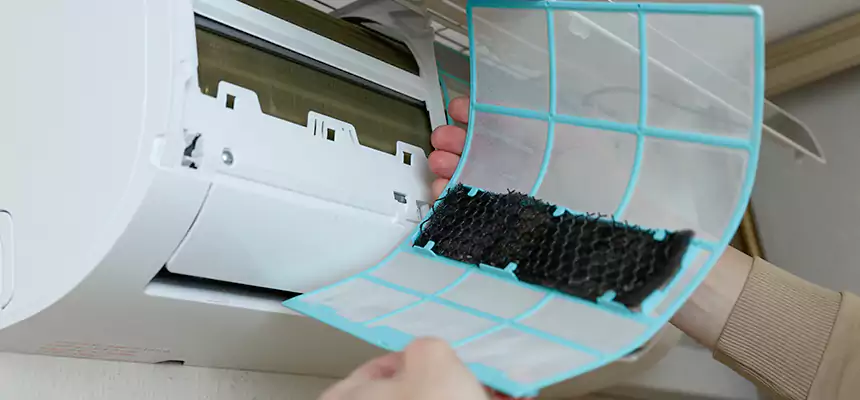 Gentle Ductwork Odor-Control Pet Dander Duct Cleaning in Elizabeth City, NC