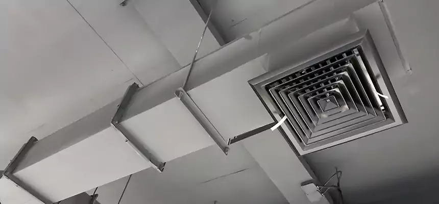 Our Rodent Droppings In Vents Services in Elizabeth City, NC