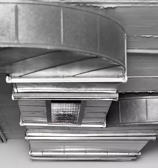 Professional Air Duct Pest Removal in Elizabeth City, NC