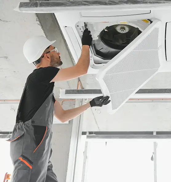 About Air Duct Rodent Removal in Elizabeth City, NC