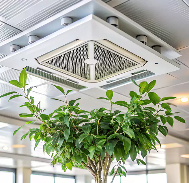 Why Homeowners & Businesses Trust Us in Elizabeth City, NC?