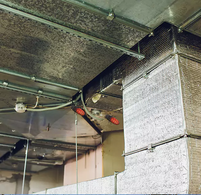 Why Homeowners & Businesses Trust Us Elizabeth City, NC?